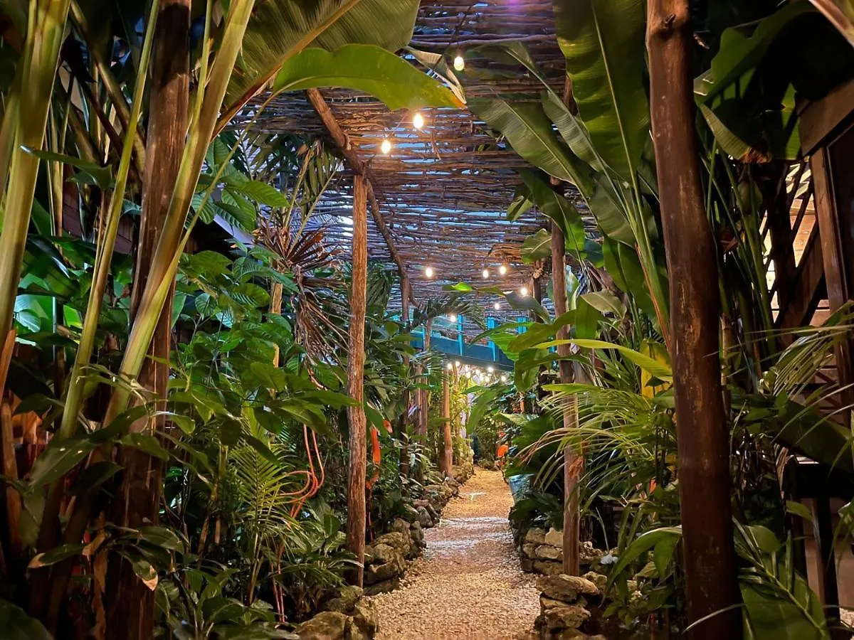 Wild Coffee Retreat Hotel Negril Jamaica